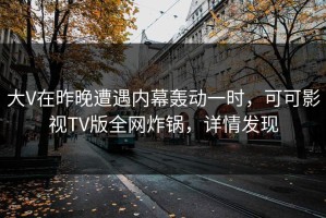 大V在昨晚遭遇内幕轰动一时，可可影视TV版全网炸锅，详情发现