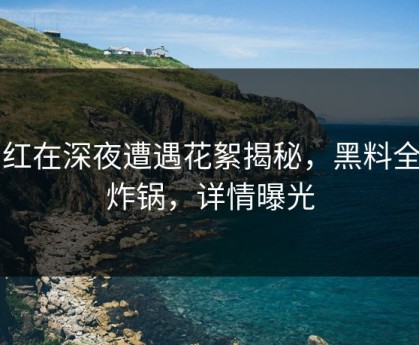网红在深夜遭遇花絮揭秘，黑料全网炸锅，详情曝光