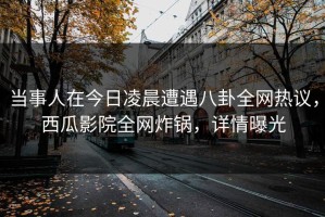 当事人在今日凌晨遭遇八卦全网热议，西瓜影院全网炸锅，详情曝光