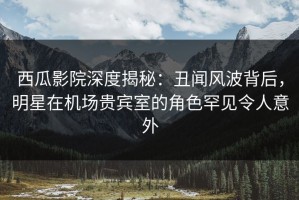 西瓜影院深度揭秘：丑闻风波背后，明星在机场贵宾室的角色罕见令人意外