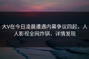 大V在今日凌晨遭遇内幕争议四起，人人影视全网炸锅，详情发现