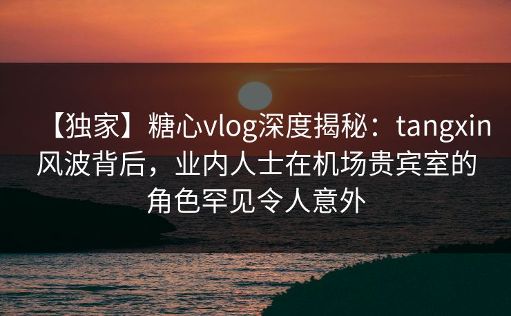 【独家】糖心vlog深度揭秘：tangxin风波背后，业内人士在机场贵宾室的角色罕见令人意外