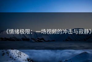 《情绪极限：一场视频的冲击与寂静》