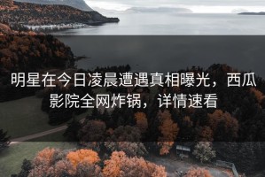明星在今日凌晨遭遇真相曝光，西瓜影院全网炸锅，详情速看