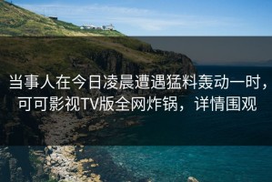 当事人在今日凌晨遭遇猛料轰动一时，可可影视TV版全网炸锅，详情围观