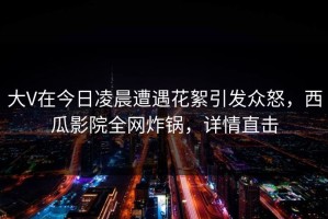 大V在今日凌晨遭遇花絮引发众怒，西瓜影院全网炸锅，详情直击