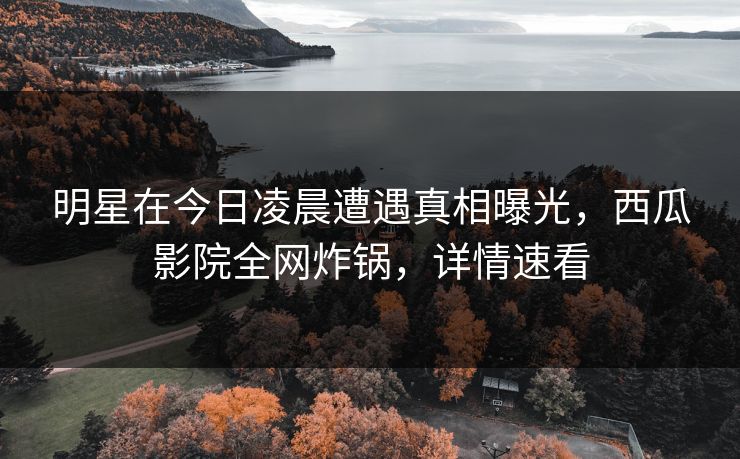 明星在今日凌晨遭遇真相曝光，西瓜影院全网炸锅，详情速看
