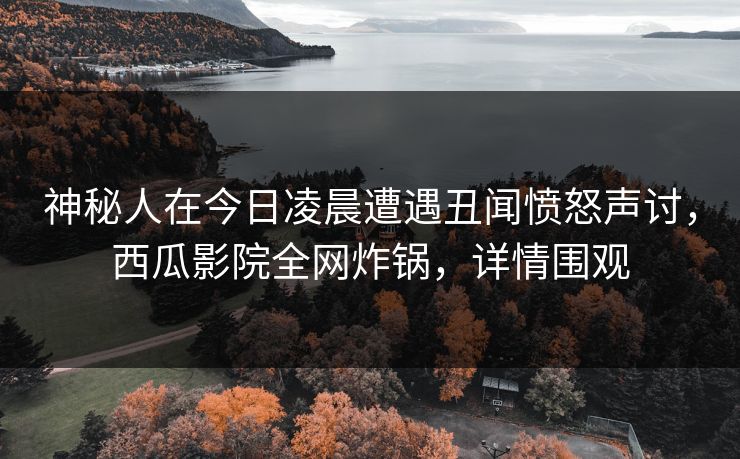 神秘人在今日凌晨遭遇丑闻愤怒声讨，西瓜影院全网炸锅，详情围观