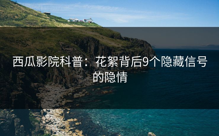 西瓜影院科普：花絮背后9个隐藏信号的隐情