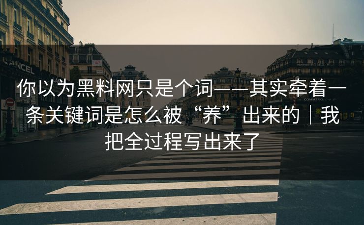 你以为黑料网只是个词——其实牵着一条关键词是怎么被“养”出来的|我把全过程写出来了 你以为黑料网只是个词——其实牵着一条关键词是怎么被“养”出来的|我把全过程写出来了